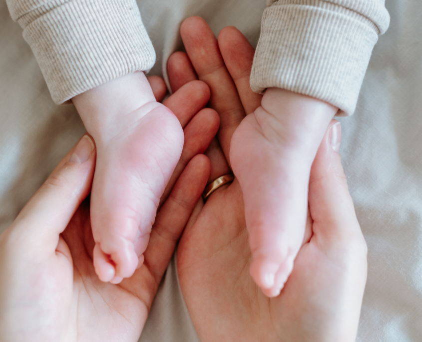 Jasio-zmniejszone-39