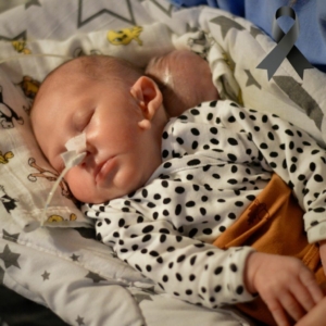 Projekt-bez-nazwy-2024-12-19T135718.307-1024x1024 (1)